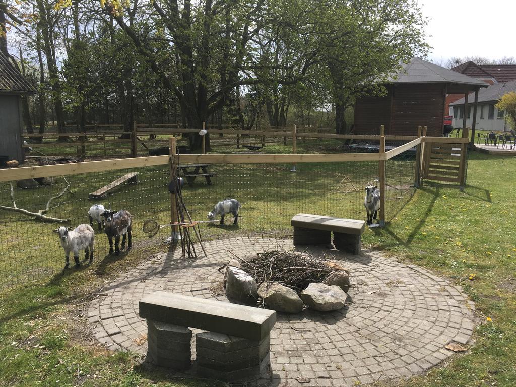 Hestkaer Family Rooms Summer Camp Krogager Εξωτερικό φωτογραφία