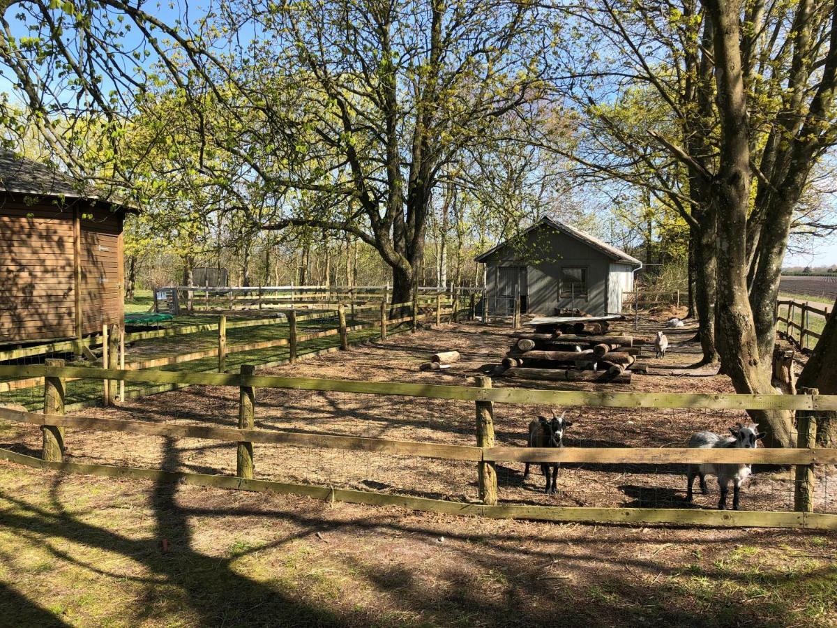 Hestkaer Family Rooms Summer Camp Krogager Εξωτερικό φωτογραφία